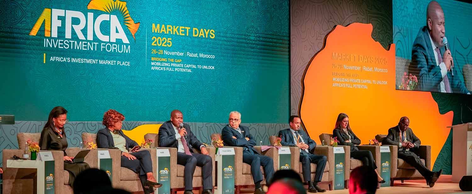 African Finance Ministers Urge Private Sector to Bridge Development Gap