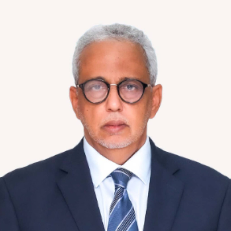 H.E. Abdallah Souleymane Cheikh-Sidia