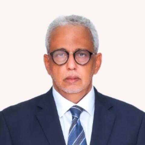 H.E. Abdallah Souleymane Cheikh-Sidia